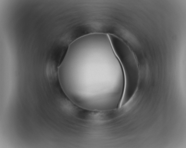 X0000113330186200909281235
