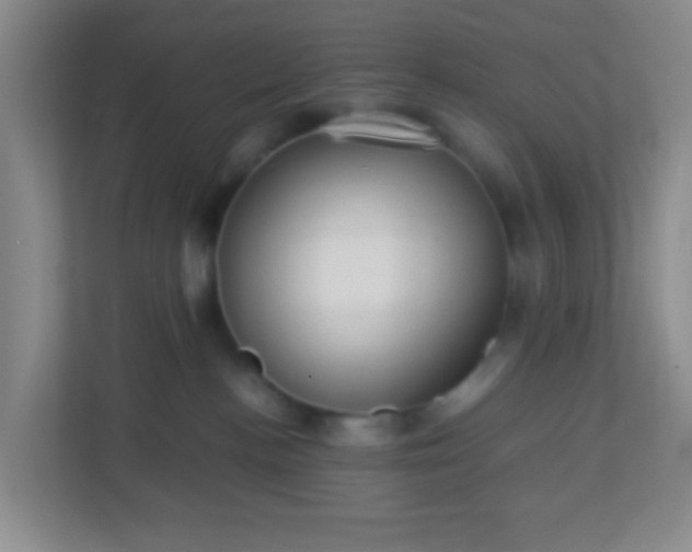 X0000113330188200909281235