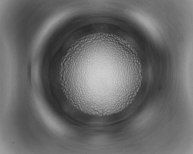 X0000113330189200909281235