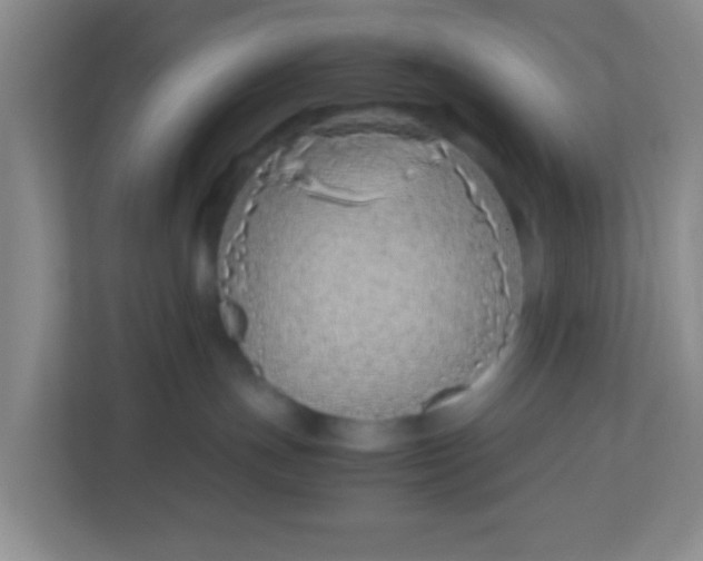 X0000113330191200909281235