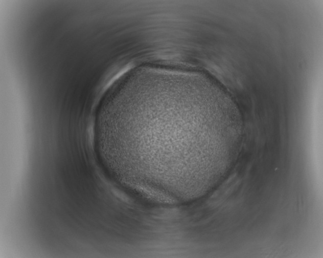 X0000113330194200909281234