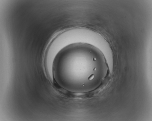 X0000113330195200909281234