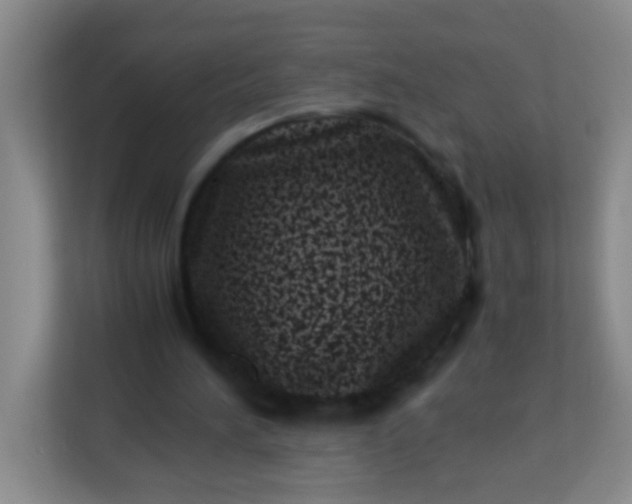 X0000113330196200909281234