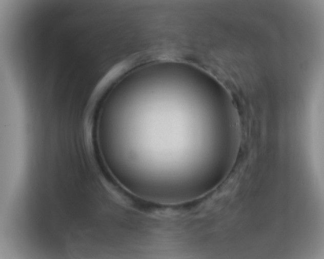 X0000113330197200909281234