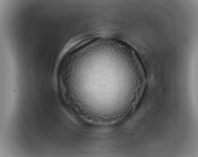 X0000113330198200909281234