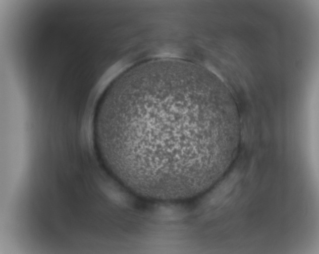 X0000113330199200909281234