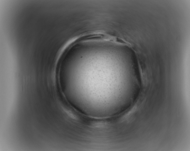 X0000113330200200909281234