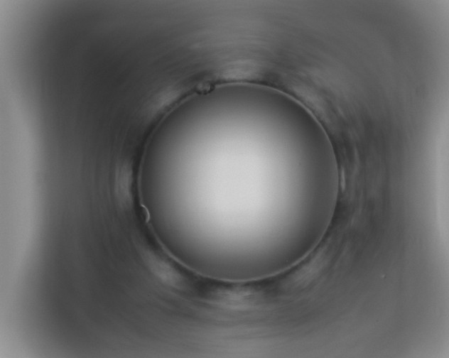 X0000113330201200909281234