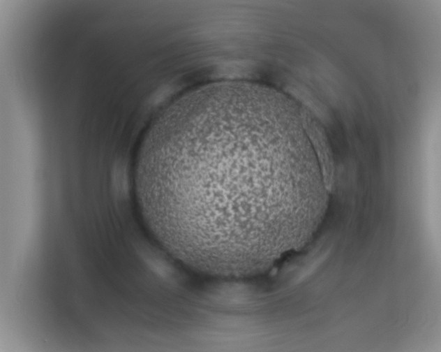 X0000113330203200909281234