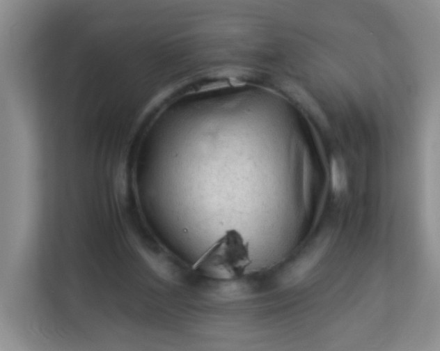 X0000113330204200909281234