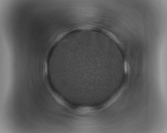 X0000113330205200909281234