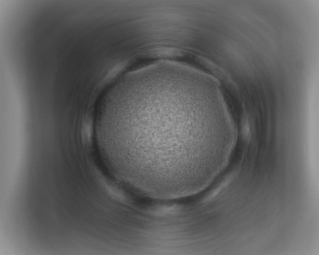 X0000113330206200909281234
