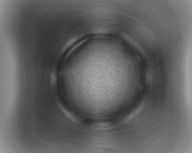 X0000113330208200909281234