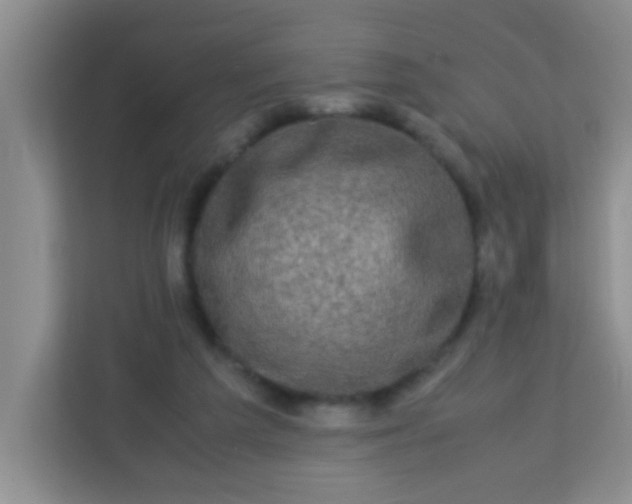 X0000113330209200909281234