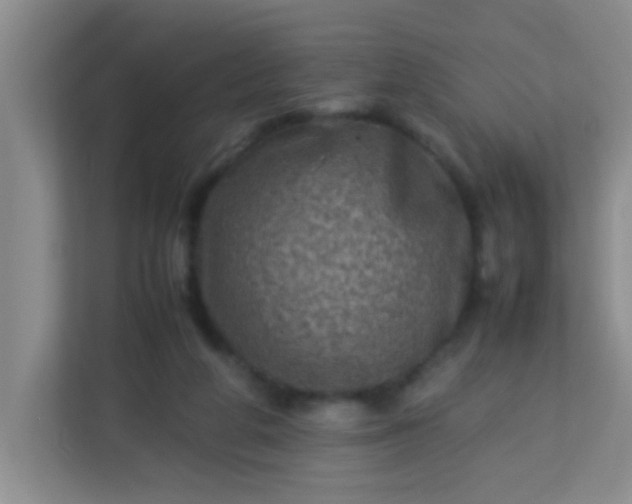 X0000113330210200909281234