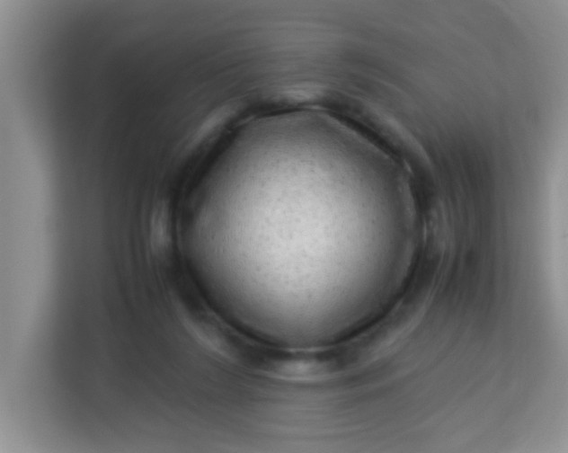 X0000113330212200909281234