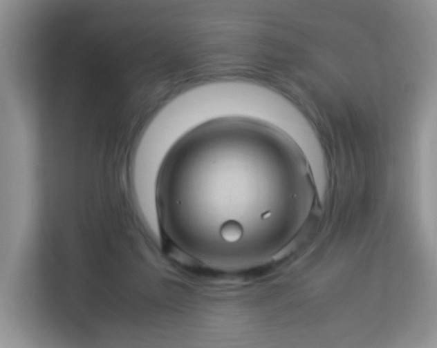 X0000113330213200909281234