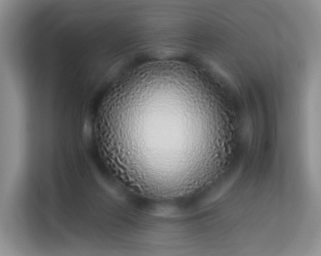 X0000113330214200909281234