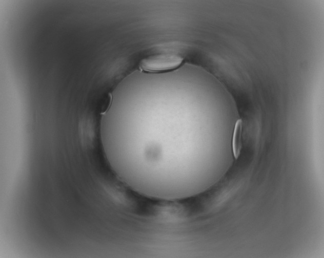 X0000113330215200909281234
