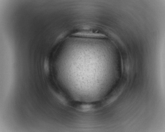 X0000113330216200909281234