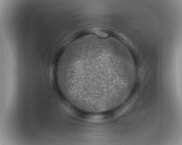 X0000113330217200909281234