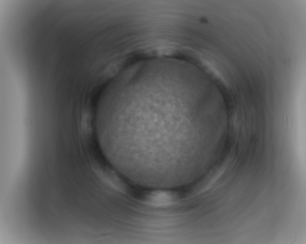 X0000113330218200909281234