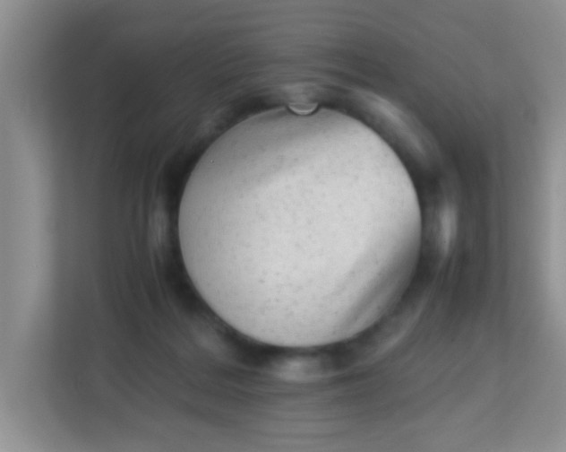 X0000113330220200909281234