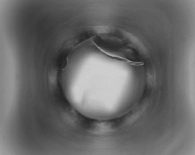 X0000113330221200909281234
