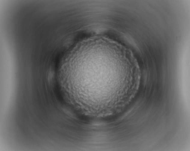 X0000113330222200909281234