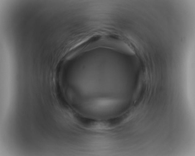X0000113330223200909281234