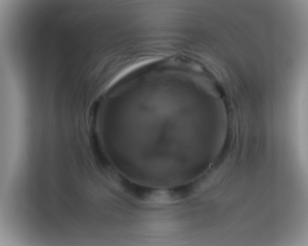 X0000113330227200909281234