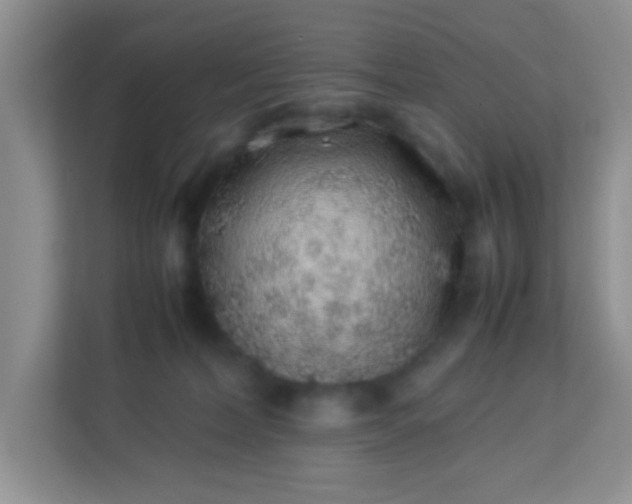 X0000113330228200909281234
