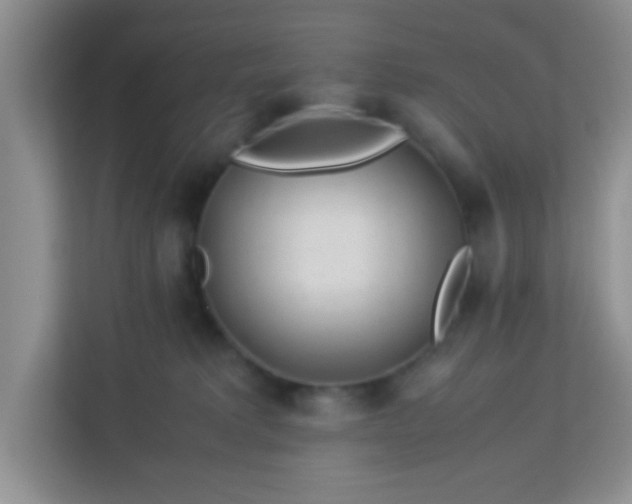 X0000113330229200909281234