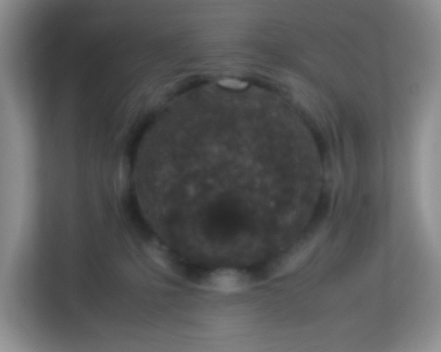 X0000113330231200909281234