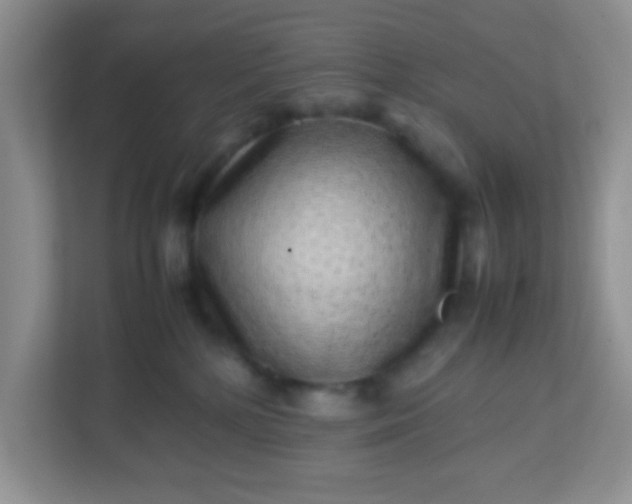 X0000113330232200909281234