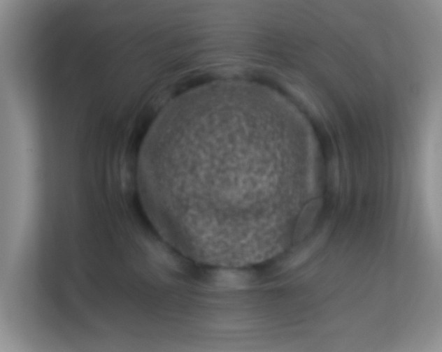 X0000113330234200909281234
