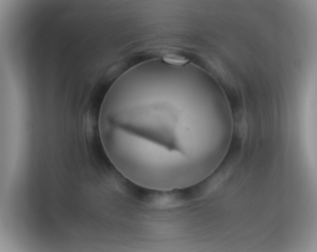 X0000113330235200909281234