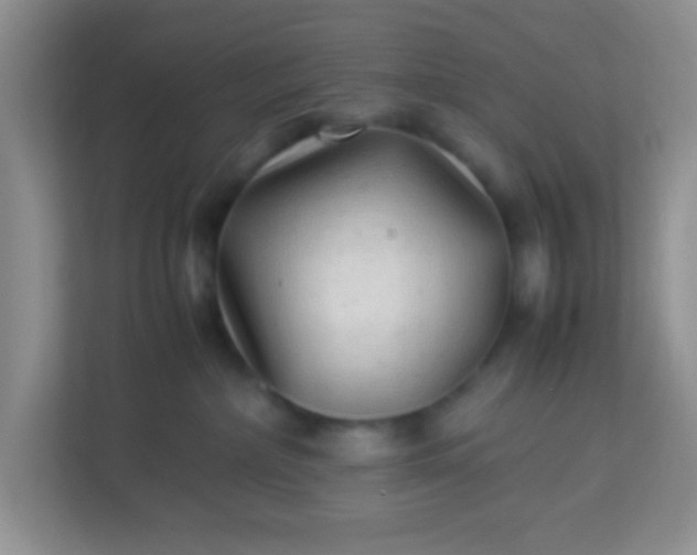 X0000113330236200909281234