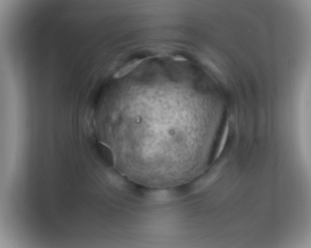 X0000113330237200909281234