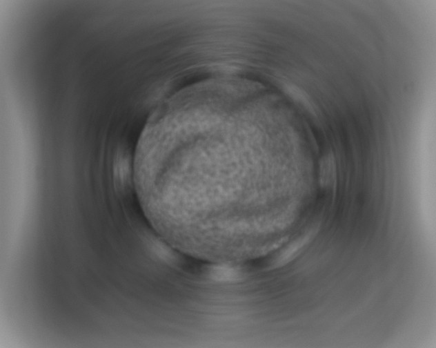 X0000113330238200909281234