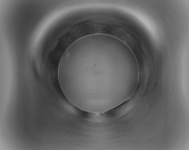 X0000113330239200909281234