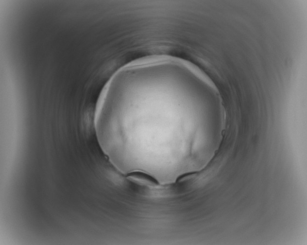 X0000113330240200909281234
