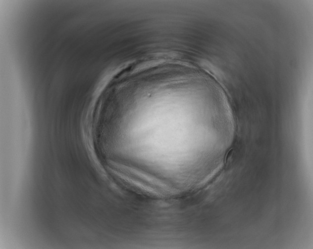 X0000113330241200909281233