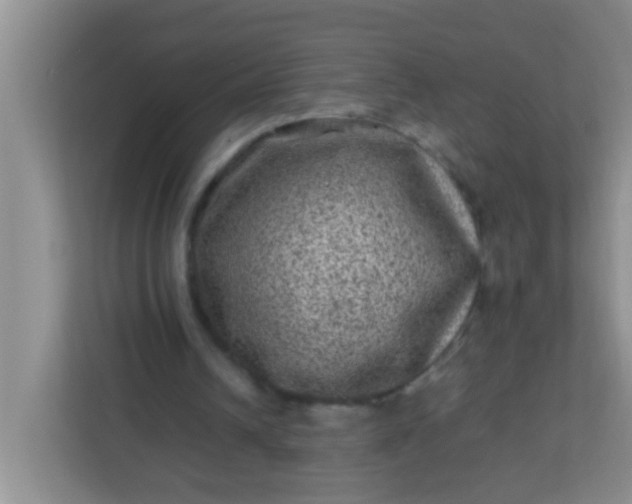 X0000113330242200909281233