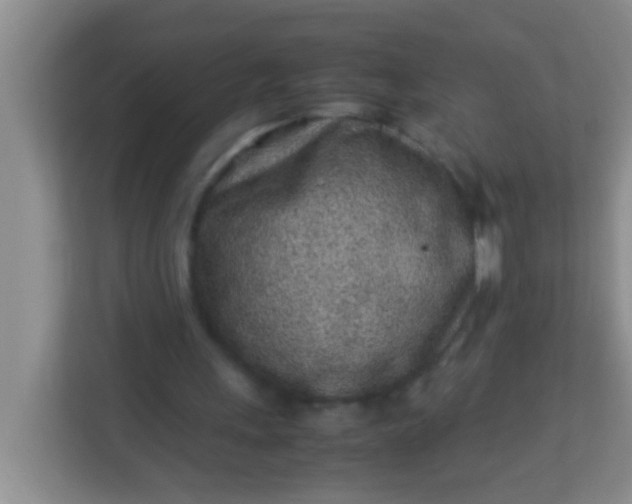 X0000113330243200909281233