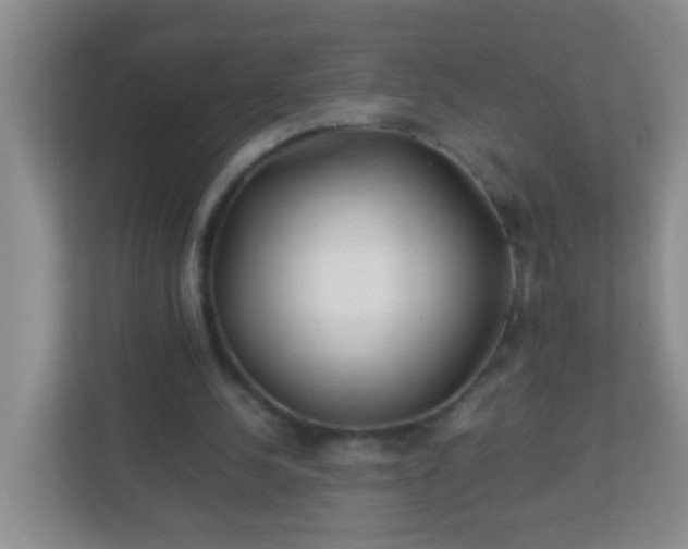X0000113330244200909281233