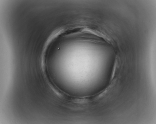 X0000113330245200909281233
