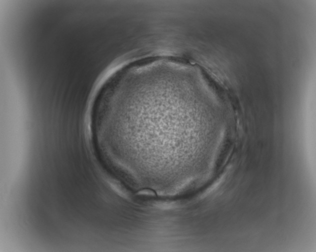 X0000113330246200909281233