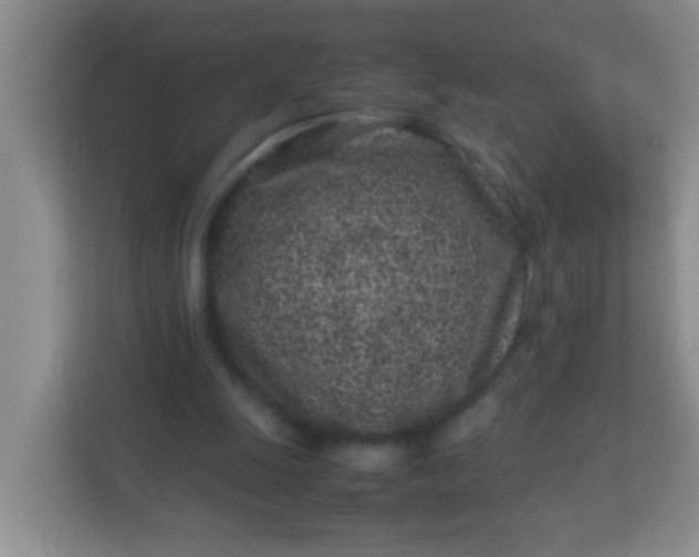 X0000113330247200909281233