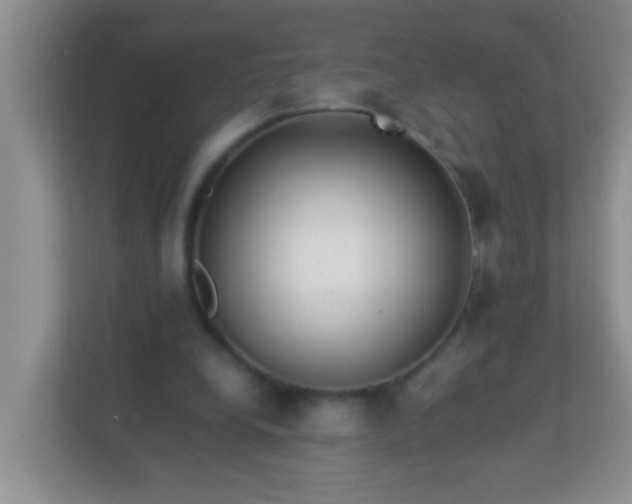 X0000113330248200909281233